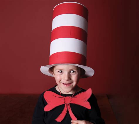 cat in the hat cat costume